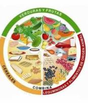 Resultado de imagen para subtemas de alimentacion saludable